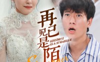 《再见已是陌客（55集）》免费短剧全集随心看