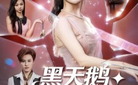 《黑天鹅诱捕计划（81集）》完整短剧免费在线观看