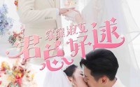 《窈窕淑女，君总好逑（85集）》精彩短剧免费在线赏
