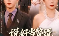 《说好当赘婿，你把岳父卷哭了（80集）》免费短剧全集一追到底