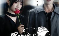 《黑玫瑰与天才操盘手（81集）》免费短剧无广告畅快赏