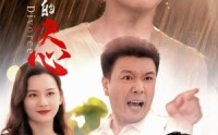 《离婚的决心（48集）》免费短剧在线无阻畅观