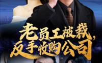 《老员工被裁反手收购公司（34集）》在线短剧免费看全剧