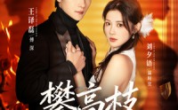 《攀高枝（70集）》精彩短剧全集免费畅享