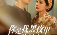 《你是我黑夜里的星光（80集）》全集短剧免费畅享观看