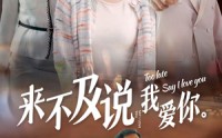 《来不及说我爱你（66集）》全集短剧免费畅快追
