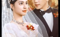 《闪婚老公竟是隐藏大佬（60集）》短剧免费无广告观看