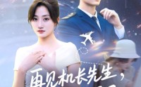 《再见机长先生我要结婚了&再见机长先生，我要结婚了（56集）》热门短剧一口气全追