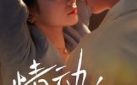 《情动小玫瑰（100集）》免费畅享短剧无删减版