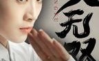 《功夫无双（65集）》免费短剧一集不落全看