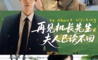 《再见机长先生夫人已读不回（62集）》热门短剧完整版免费赏