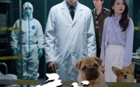 《病犬危机（68集）》免费短剧一集不落追