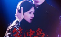 《笼中鸟，烬中生（60集）》在线追短剧全程无广告