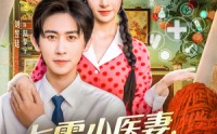 《七零小医妻，成全家团宠（66集）》无广告短剧畅爽观看