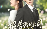 《报告我的上司有点甜（97集）》全集免费短剧轻松看