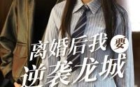 《离婚后我要逆袭龙城（90集）》逆袭短剧在线尽情看
