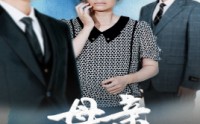 《母亲的荣耀（71集）》超清短剧全集免费观览