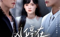 《风停在转身时（72集）》免费短剧全集畅快看不停