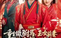 《重生做驸马，玉女前妻她高攀不起（79集）》免费全集短剧畅快追