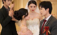 《婚礼当天（30集）》精彩短剧无广告连追