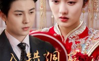 《入错洞房嫁对郎（63集）》精彩短剧在线一追到底