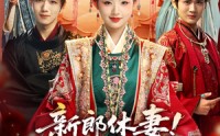 《新郎休妻摄政王十里红妆求娶（51集）》在线免费看短剧超畅快