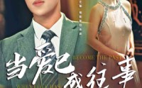 《当爱已成往事（28集）》在线短剧免费无广告畅享