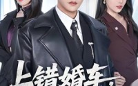《上错婚车，错娶绝色千金（80集）》精彩短剧全集免费畅享