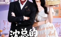 《沈总的偏宠小厨娘（79集）》热门短剧完整版在线观看