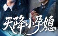 《天降小孕媳（37集）》完整短剧在线无扰看