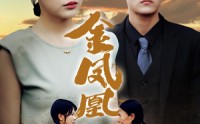 《金凤凰（80集）》在线短剧无卡顿尽情看