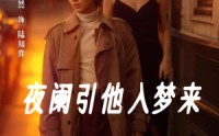《夜阑引他入梦来（70集）》精彩短剧全集畅享观看