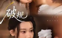 《破规（80集）》超燃短剧免费看个过瘾