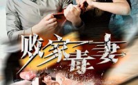 《败家毒妻（32集）》热门短剧高清无卡顿看