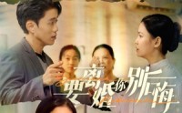 《要离婚你别后悔（34集）》免费短剧无卡顿观看