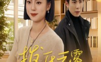 《拨开云雾见月明（30集）》免费在线看短剧全集版
