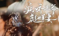 《病娇王爷彪悍妻（100集）》超火短剧完整版速追