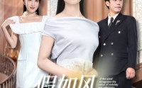 《假如风识贵贱（58集）》爆款短剧完整版在线追
