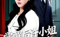 《觉醒后许小姐不再原谅（102集）》精彩短剧在线无卡顿看