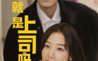 《不就是上司吗（80集）》精彩短剧在线无扰观看