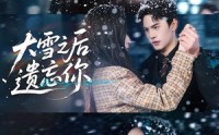《大雪之后遗忘你（82集）》超长免费短剧全集尽情看