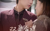 《双枭合谋暗夜破晓（30集）》超燃短剧无卡顿观看