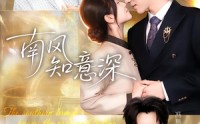 《南风知意深（40集）》免费短剧全集畅快追