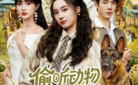 《偷听动物心声破案，假千金成团宠（80集）》精彩短剧无卡顿全看完