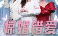《惊婚错爱（30集）》精彩短剧全集一键追