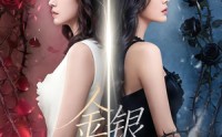 《金银双姝（80集）》精彩短剧免费全集享