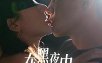 《在黑夜中相遇（32集）》免费短剧无卡顿流畅追