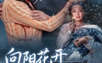 《向阳花开并蒂霜（60集）》免费畅享短剧无删减全集