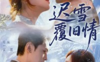 《迟雪覆旧情（62集）》超长完整短剧免费在线追