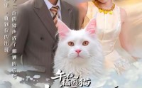 《午夜缅因猫我的饲主竟是命中注定（66集）》免费短剧在线流畅追完